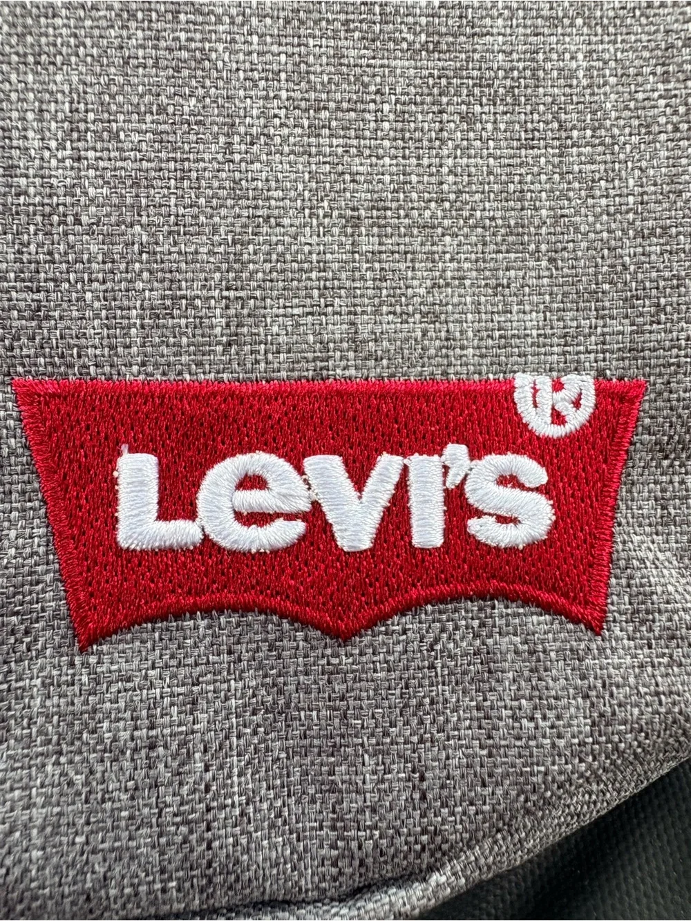 Levis spacious backpack